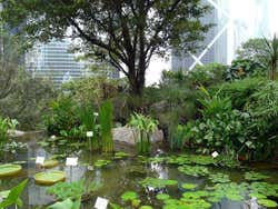 Hong Kong Park